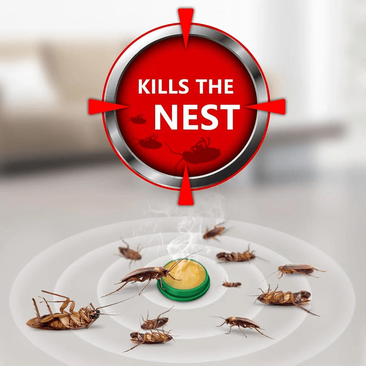 Powerful Cockroach Gel | Home, Kitchen & Bathroom Use – Buy 1 Get 1 Free